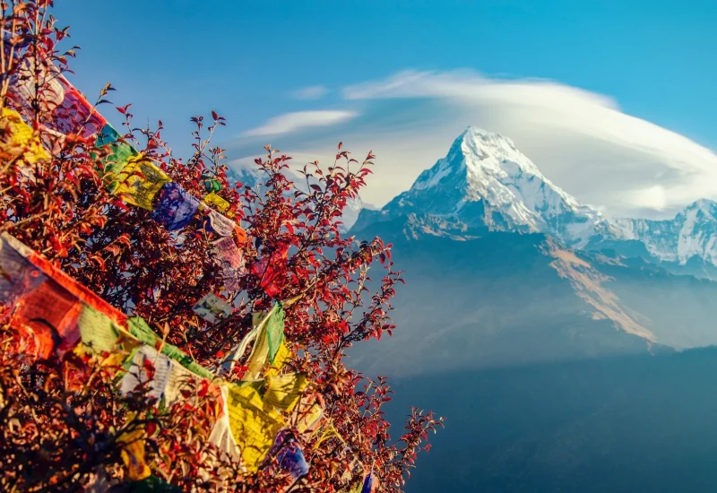 7nepal